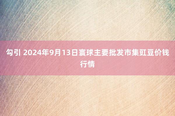 勾引 2024年9月13日寰球主要批发市集豇豆价钱行情