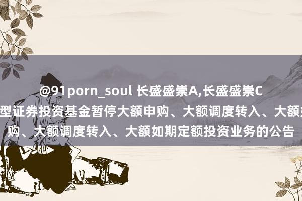 @91porn_soul 长盛盛崇A,长盛盛崇C: 长盛盛崇纯真建树羼杂型证券投资基金暂停大额申购、大额调度转入、大额如期定额投资业务的公告