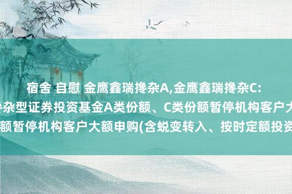 宿舍 自慰 金鹰鑫瑞搀杂A,金鹰鑫瑞搀杂C: 对于金鹰鑫瑞纯真设立搀杂型证券投资基金A类份额、C类份额暂停机构客户大额申购(含蜕变转入、按时定额投资)的公告