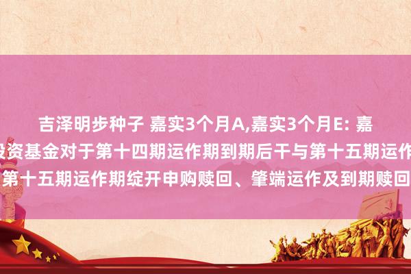 吉泽明步种子 嘉实3个月A,嘉实3个月E: 嘉实3个月欢迎债券型证券投资基金对于第十四期运作期到期后干与第十五期运作期绽开申购赎回、肇端运作及到期赎回等安排的公告