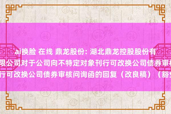 ai换脸 在线 鼎龙股份: 湖北鼎龙控股股份有限公司和招商证券股份有限公司对于公司向不特定对象刊行可改换公司债券审核问询函的回复(改良稿)(豁免版)