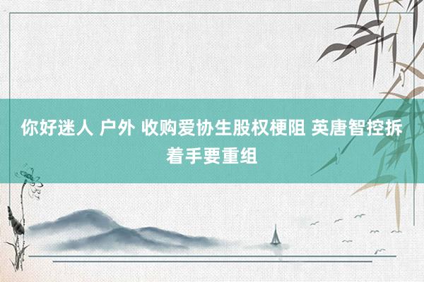 你好迷人 户外 收购爱协生股权梗阻 英唐智控拆着手要重组