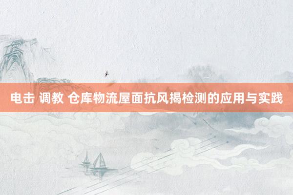 电击 调教 仓库物流屋面抗风揭检测的应用与实践