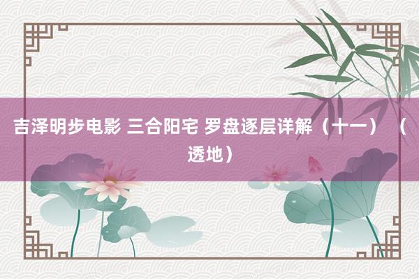 吉泽明步电影 三合阳宅 罗盘逐层详解(十一) (透地)