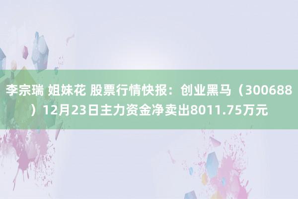 李宗瑞 姐妹花 股票行情快报：创业黑马（300688）12月23日主力资金净卖出8011.75万元