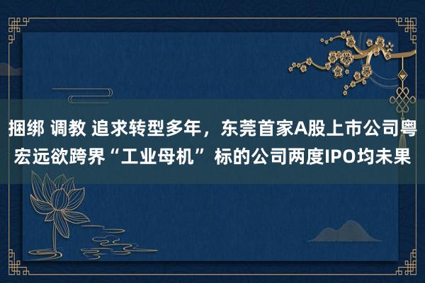 捆绑 调教 追求转型多年，东莞首家A股上市公司粤宏远欲跨界“工业母机” 标的公司两度IPO均未果