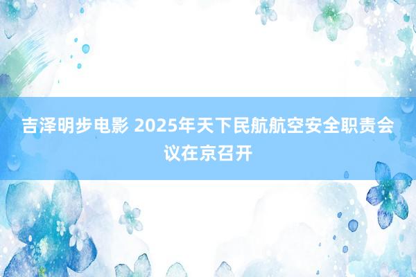 吉泽明步电影 2025年天下民航航空安全职责会议在京召开