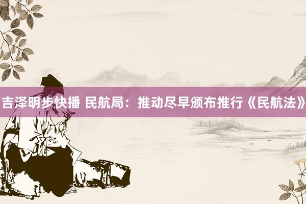吉泽明步快播 民航局：推动尽早颁布推行《民航法》