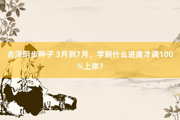 吉泽明步种子 3月到7月,学到什么进度才调100%上岸?