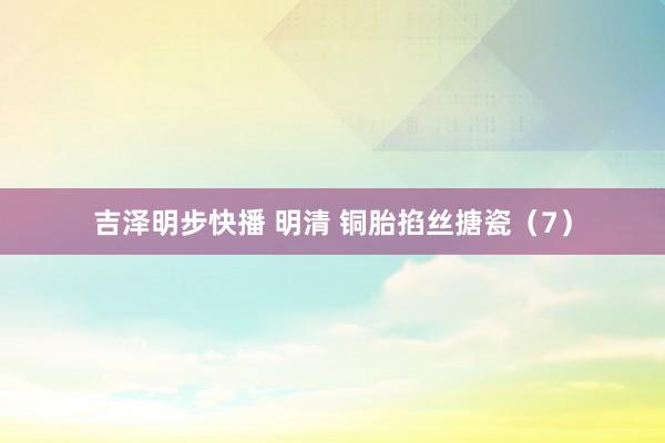 吉泽明步快播 明清 铜胎掐丝搪瓷（7）