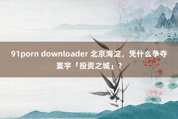 91porn downloader 北京海淀，凭什么争夺寰宇「投资之城」？