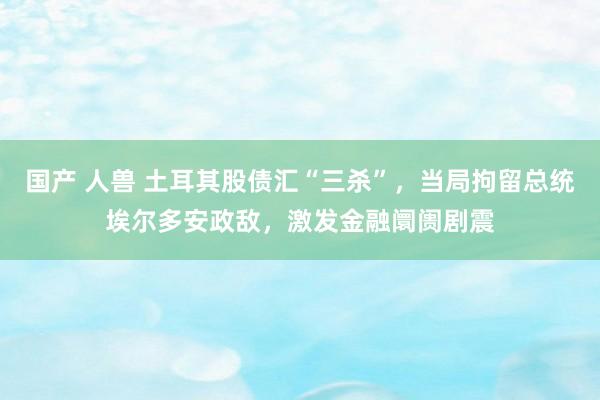 国产 人兽 土耳其股债汇“三杀”，当局拘留总统埃尔多安政敌，激发金融阛阓剧震