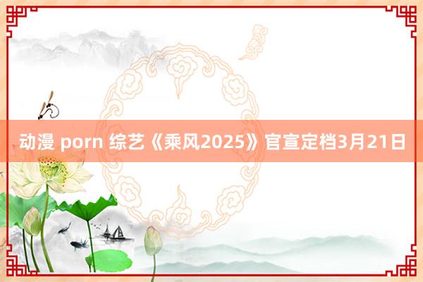 动漫 porn 综艺《乘风2025》官宣定档3月21日
