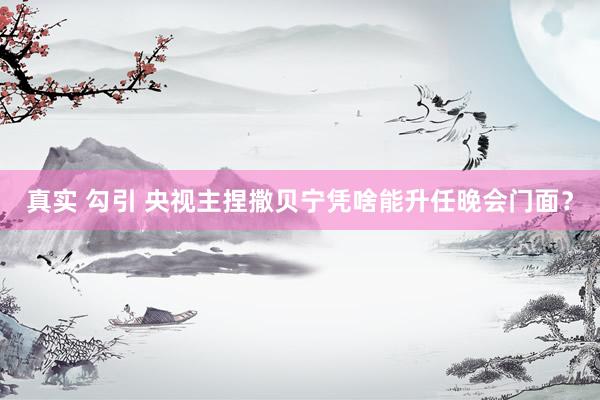 真实 勾引 央视主捏撒贝宁凭啥能升任晚会门面？