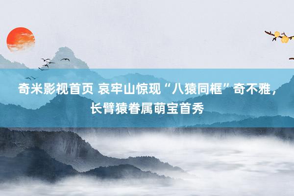 奇米影视首页 哀牢山惊现“八猿同框”奇不雅，长臂猿眷属萌宝首秀