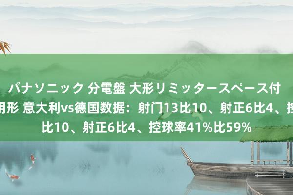 パナソニック 分電盤 大形リミッタースペース付 露出・半埋込両用形 意大利vs德国数据：射门13比10、射正6比4、控球率41%比59%