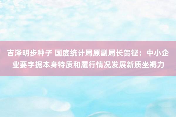 吉泽明步种子 国度统计局原副局长贺铿：中小企业要字据本身特质和履行情况发展新质坐褥力