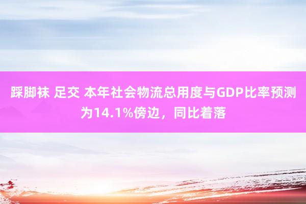 踩脚袜 足交 本年社会物流总用度与GDP比率预测为14.1%傍边，同比着落