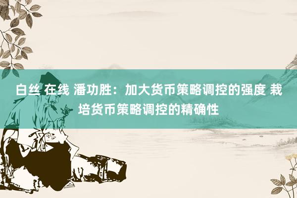 白丝 在线 潘功胜：加大货币策略调控的强度 栽培货币策略调控的精确性