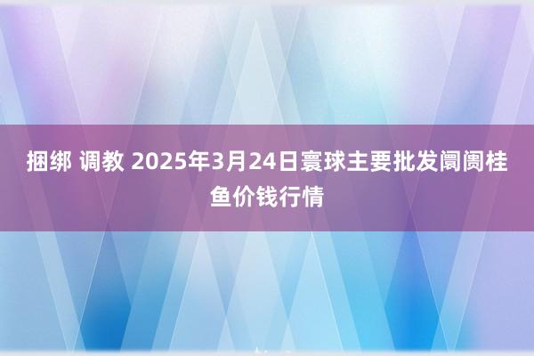 捆绑 调教 2025年3月24日寰球主要批发阛阓桂鱼价钱行情