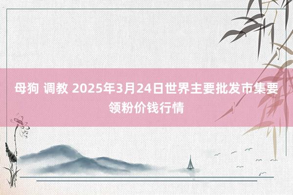 母狗 调教 2025年3月24日世界主要批发市集要领粉价钱行情