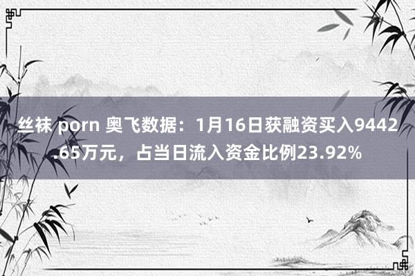 丝袜 porn 奥飞数据：1月16日获融资买入9442.65万元，占当日流入资金比例23.92%