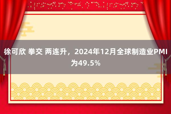 徐可欣 拳交 两连升，2024年12月全球制造业PMI为49.5%