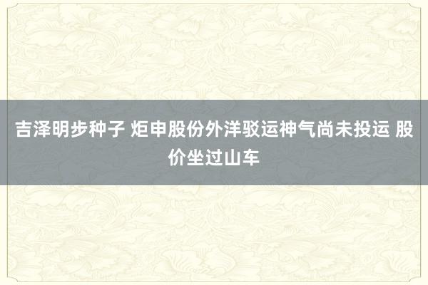 吉泽明步种子 炬申股份外洋驳运神气尚未投运 股价坐过山车