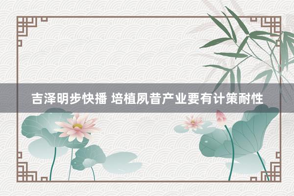 吉泽明步快播 培植夙昔产业要有计策耐性