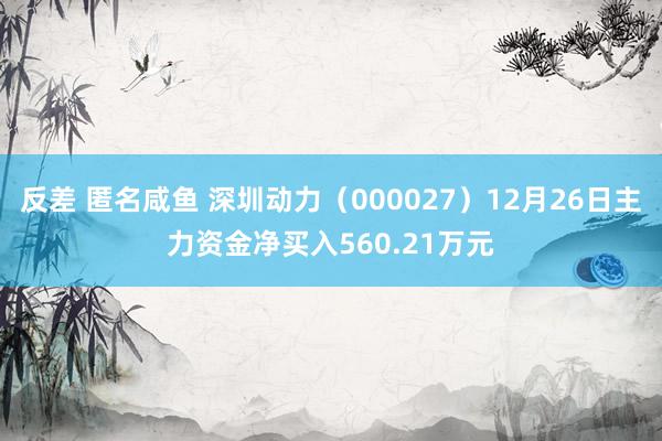 反差 匿名咸鱼 深圳动力（000027）12月26日主力资金净买入560.21万元