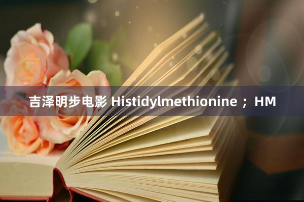 吉泽明步电影 Histidylmethionine ；HM