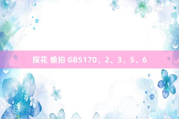 探花 偷拍 GB5170、2、3、5、6