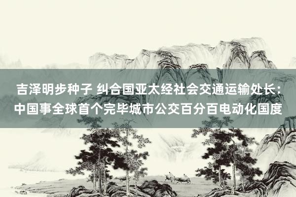 吉泽明步种子 纠合国亚太经社会交通运输处长：中国事全球首个完毕城市公交百分百电动化国度