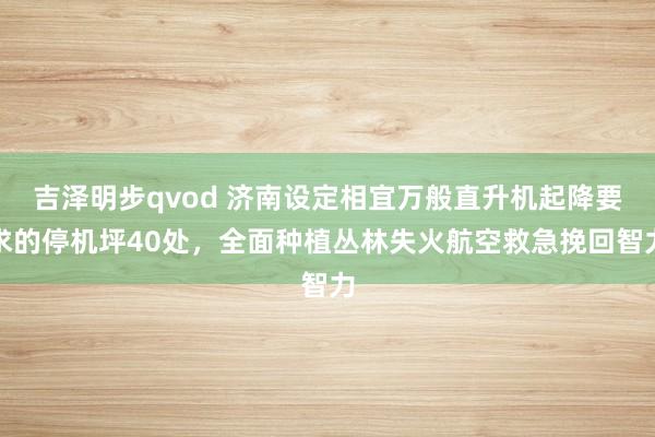 吉泽明步qvod 济南设定相宜万般直升机起降要求的停机坪40处，全面种植丛林失火航空救急挽回智力