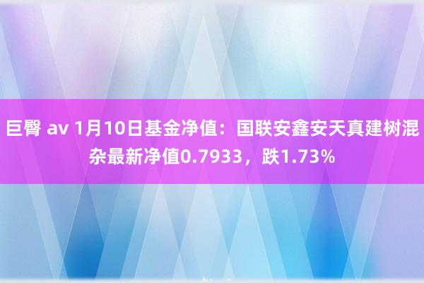 巨臀 av 1月10日基金净值：国联安鑫安天真建树混杂最新净值0.7933，跌1.73%