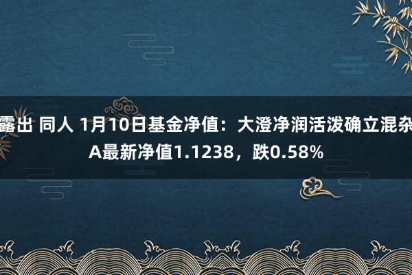 露出 同人 1月10日基金净值：大澄净润活泼确立混杂A最新净值1.1238，跌0.58%