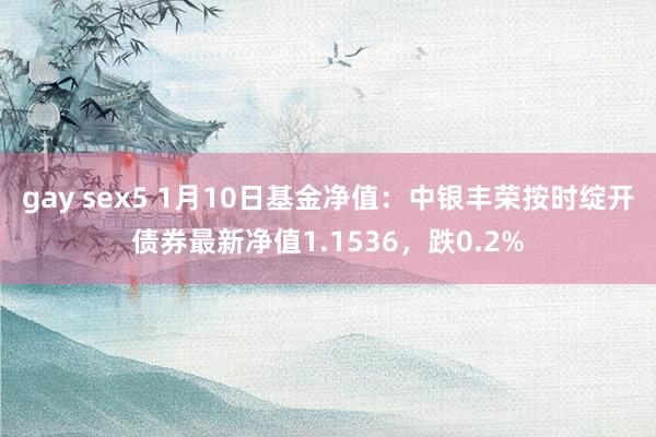 gay sex5 1月10日基金净值：中银丰荣按时绽开债券最新净值1.1536，跌0.2%