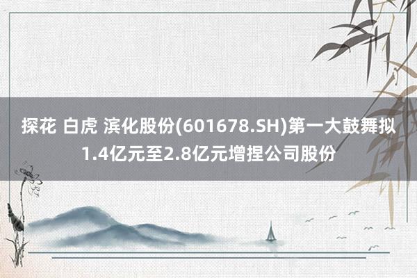 探花 白虎 滨化股份(601678.SH)第一大鼓舞拟1.4亿元至2.8亿元增捏公司股份