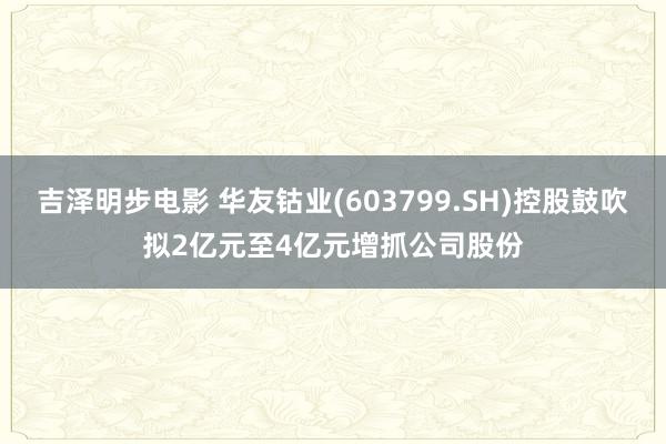 吉泽明步电影 华友钴业(603799.SH)控股鼓吹拟2亿元至4亿元增抓公司股份