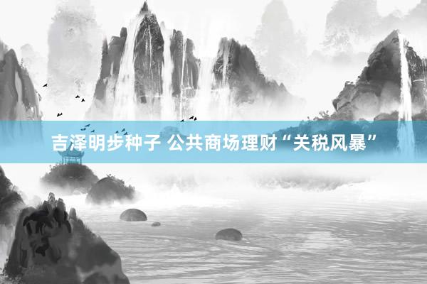 吉泽明步种子 公共商场理财“关税风暴”