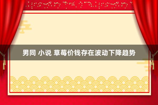男同 小说 草莓价钱存在波动下降趋势