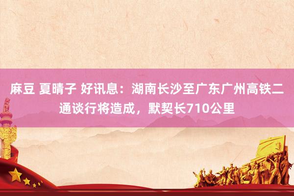 麻豆 夏晴子 好讯息：湖南长沙至广东广州高铁二通谈行将造成，默契长710公里