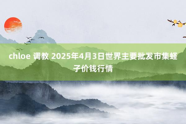 chloe 调教 2025年4月3日世界主要批发市集蛏子价钱行情