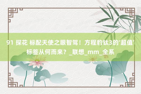 91 探花 标配天使之眼智驾！方程豹钛3的‘超值’标签从何而来？_联想_mm_全系