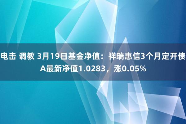 电击 调教 3月19日基金净值：祥瑞惠信3个月定开债A最新净值1.0283，涨0.05%