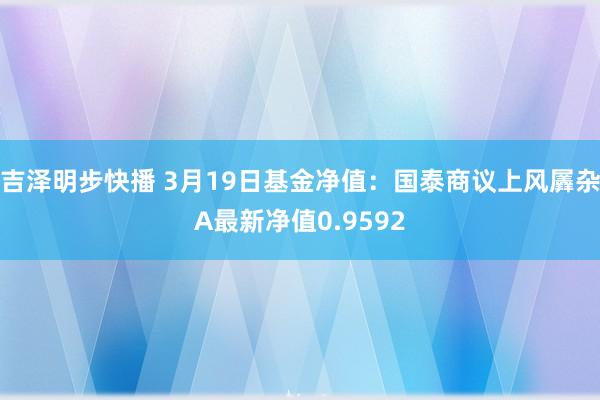 吉泽明步快播 3月19日基金净值：国泰商议上风羼杂A最新净值0.9592