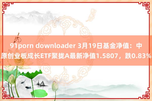 91porn downloader 3月19日基金净值：中原创业板成长ETF聚拢A最新净值1.5807，跌0.83%