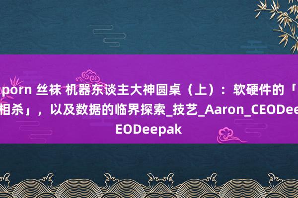 porn 丝袜 机器东谈主大神圆桌（上）：软硬件的「相爱相杀」，以及数据的临界探索_技艺_Aaron_CEODeepak