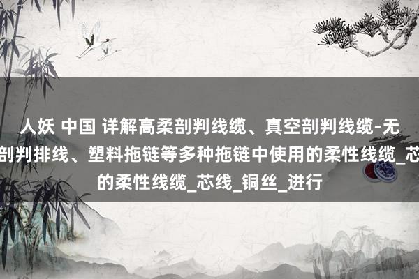 人妖 中国 详解高柔剖判线缆、真空剖判线缆-无尘拖链、洁净剖判排线、塑料拖链等多种拖链中使用的柔性线缆_芯线_铜丝_进行