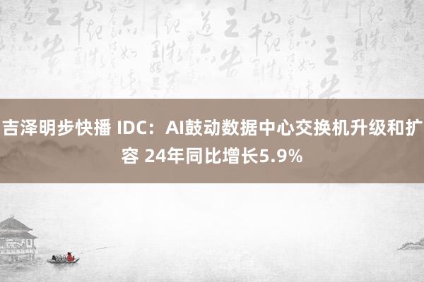 吉泽明步快播 IDC：AI鼓动数据中心交换机升级和扩容 24年同比增长5.9%